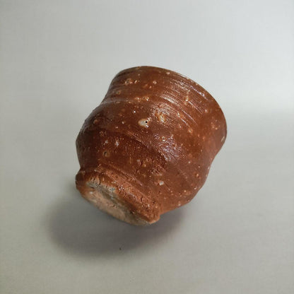 Hashimoto Makoto Shigaraki Guinomi - Six Ancient Kilns Sake Cup with Ishihaze