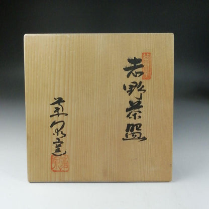 Shino Ware Tea Bowl by Tanaka Genya - Kikuizumi Kiln E-Shino Chawan with Signed Box
