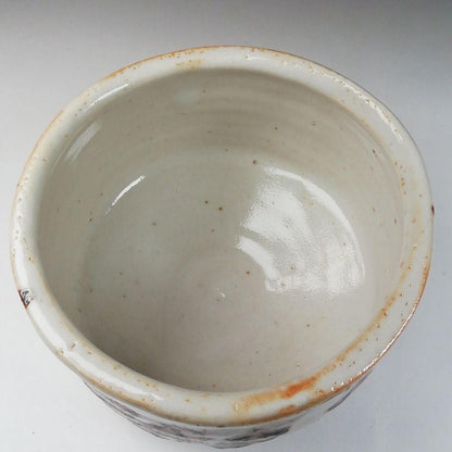 Shino Ware Tea Bowl by Tanaka Genya - Kikuizumi Kiln E-Shino Chawan with Signed Box