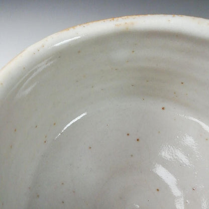 Shino Ware Tea Bowl by Tanaka Genya - Kikuizumi Kiln E-Shino Chawan with Signed Box