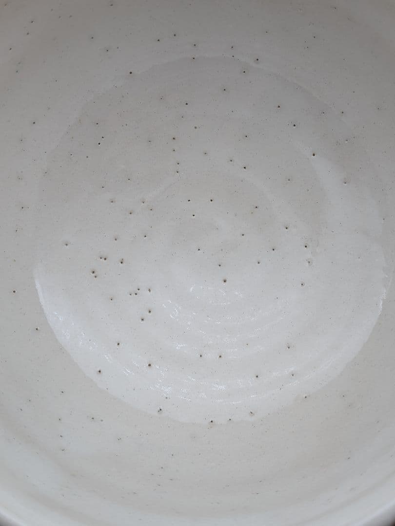 Iro-e Grape Vine Tea Bowl by Rikiishi Shunji — Polychrome Mashiko Chawan