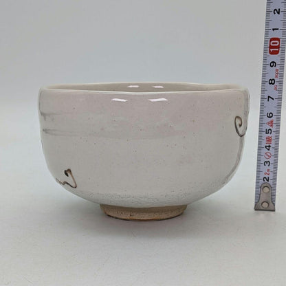 Iro-e Grape Vine Tea Bowl by Rikiishi Shunji — Polychrome Mashiko Chawan