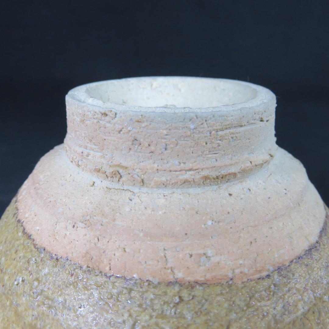Irabo Glazed Matcha Bowl from Shigaraki Kiln - Japanese Tea Ceremony Chawan with Signed Box