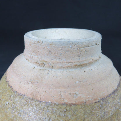 Irabo Glazed Matcha Bowl from Shigaraki Kiln - Japanese Tea Ceremony Chawan with Signed Box