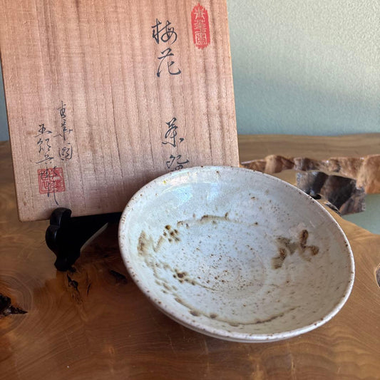 Seto Ware Flat Matcha Bowl by Kato Gorobei — Plum Blossom Hira-Chawan with Tomobako