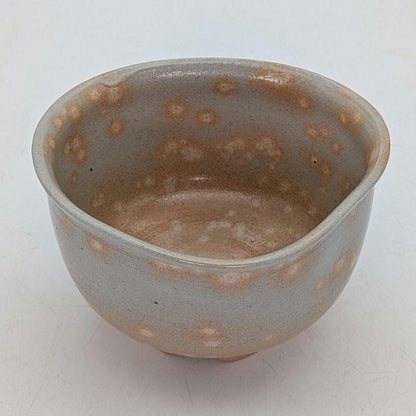 Kinkai Chawan by Rakuzan Kiln – Japanese Tea Bowl – Edo Senke Inscribed – Japan