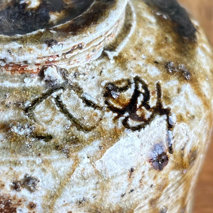 Morikako Iga-yaki Matcha Bowl "Tsuchi no Hana" — Ash Glaze, Signed Wood Box