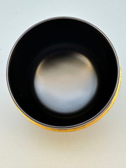Sano Nagahiro | Natsume Tea Caddy | Kiri-zasa Maki-e | Paulownia Bamboo Grass | Iro-maki-e | Signed Box