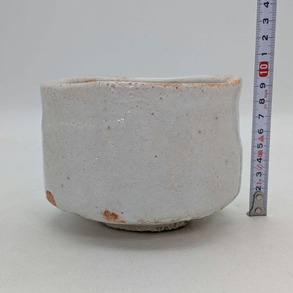 Shino Chawan by Sato Kayu — Iron-Painted Mino Matcha Bowl, Signed Box