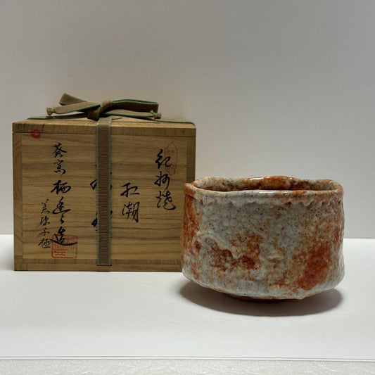 Kishu Ware Chawan 'Kocho' by Shodai Sankawa Seiho — Aoi Kiln, Shino-Style Tea Bowl