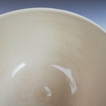 Iro-e Wisteria Tea Bowl by Hashimoto Kisen - Kyo-yaki Chawan with Daitokuji Inscription