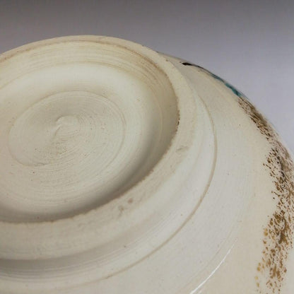 Iro-e Wisteria Tea Bowl by Hashimoto Kisen - Kyo-yaki Chawan with Daitokuji Inscription