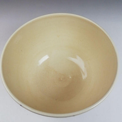 Iro-e Wisteria Tea Bowl by Hashimoto Kisen - Kyo-yaki Chawan with Daitokuji Inscription