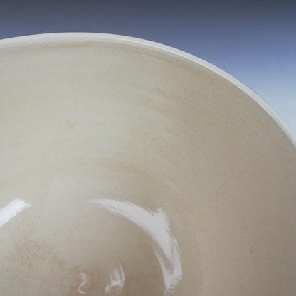 Iro-e Wisteria Tea Bowl by Hashimoto Kisen - Kyo-yaki Chawan with Daitokuji Inscription