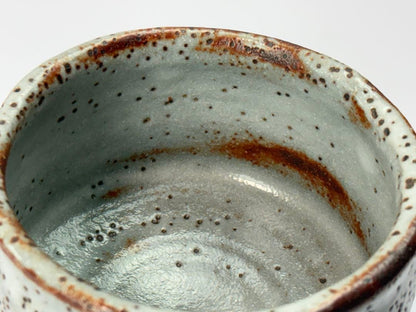 Shino Matcha Tea Bowl by Takagi Norikatsu, Hirashō Kiln — Signed, Tomobako