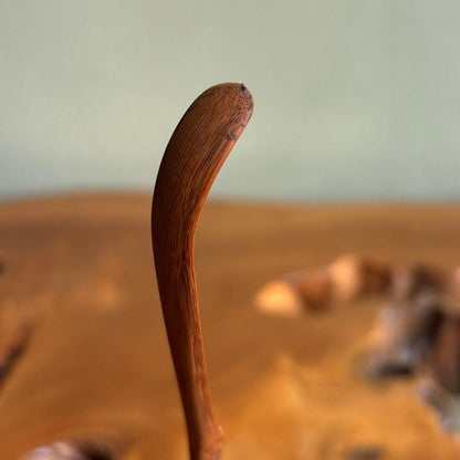 Japanese Bamboo Tea Scoop Chashaku with Bamboo Tube | Calligraphy Inscription | Tea Ceremony Utensil