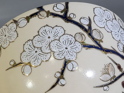 Red White Plum Chawan by Seikanji Shohei – Japanese Tea Bowl – Kyoto Art – Japan