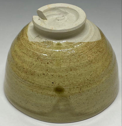 Mushiake Ware Willow Design Tea Bowl by Irie Hakushu - E-Karatsu Style Chawan with Box