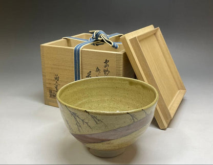 Mushiake Ware Willow Design Tea Bowl by Irie Hakushu - E-Karatsu Style Chawan with Box