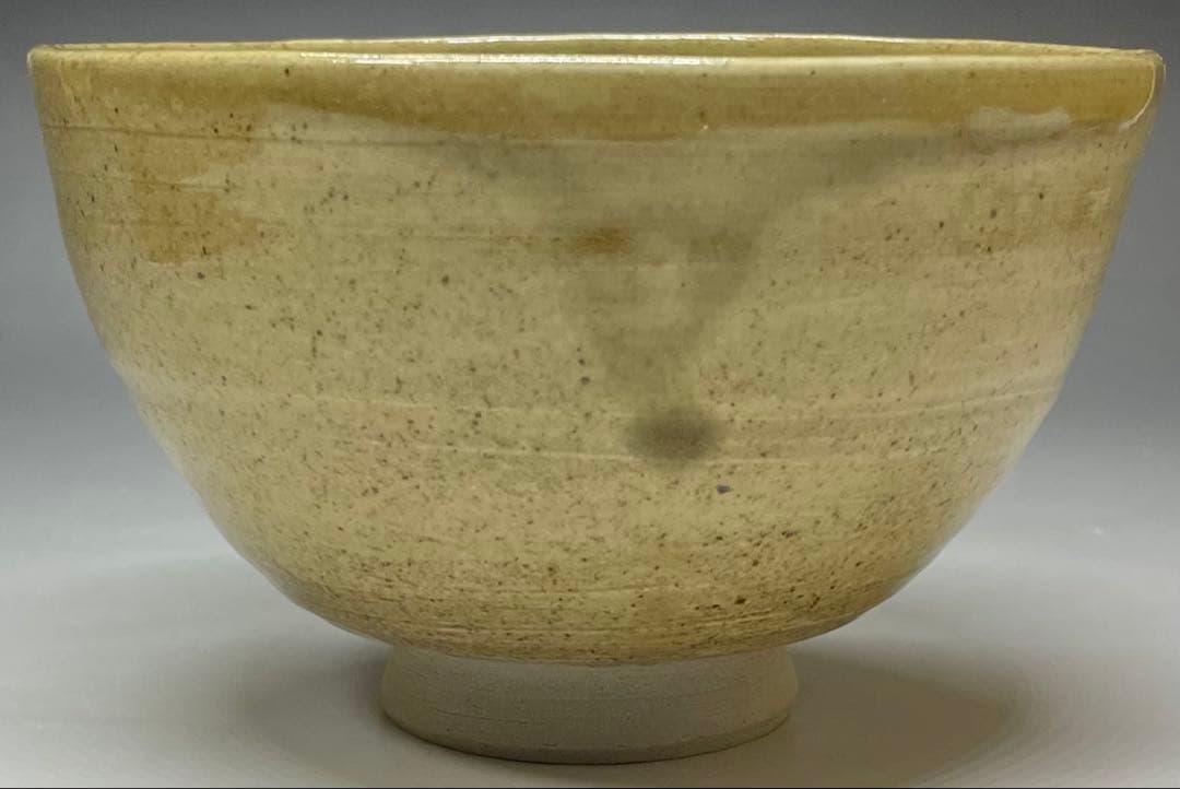 Mushiake Ware Willow Design Tea Bowl by Irie Hakushu - E-Karatsu Style Chawan with Box