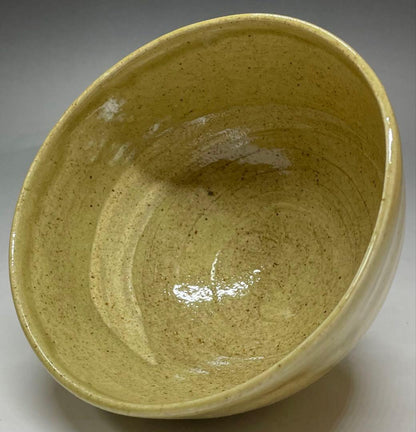 Mushiake Ware Willow Design Tea Bowl by Irie Hakushu - E-Karatsu Style Chawan with Box