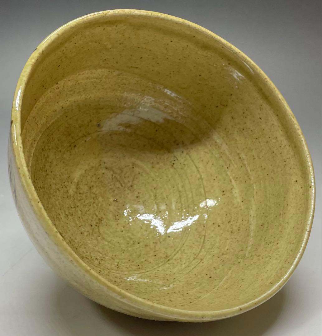 Mushiake Ware Willow Design Tea Bowl by Irie Hakushu - E-Karatsu Style Chawan with Box