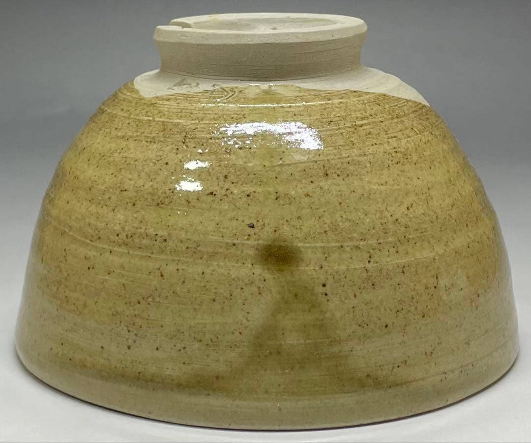 Mushiake Ware Willow Design Tea Bowl by Irie Hakushu - E-Karatsu Style Chawan with Box
