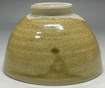 Mushiake Ware Willow Design Tea Bowl by Irie Hakushu - E-Karatsu Style Chawan with Box