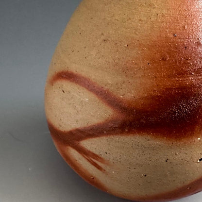 Bizen Hidasuki Tokkuri by Isezaki Taku - Fire-Cord Sake Bottle with Signed Box