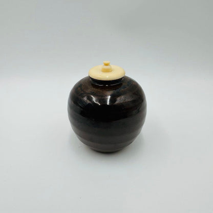 Bunrin Chaire by Heian Kizan – Japanese Tea Jar – Apple Form – Kyoto Art – Japan