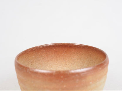 4th Okuda Chuzaemon Shigaraki Tea Bowl — Natural Ash Glaze, Hi-iro Gradient