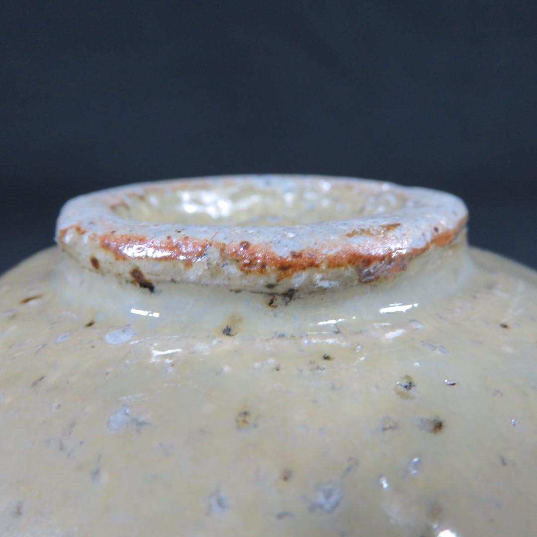 Speckled Earth Glaze Tea Bowl - Rustic Japanese Chawan with Natural Iron Spots