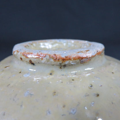 Speckled Earth Glaze Tea Bowl - Rustic Japanese Chawan with Natural Iron Spots
