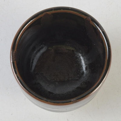 Tenmoku Guinomi Sake Cup by Aoki Ryuzan Order of Culture Laureate Arita Porcelain Signed Tomobako Japan