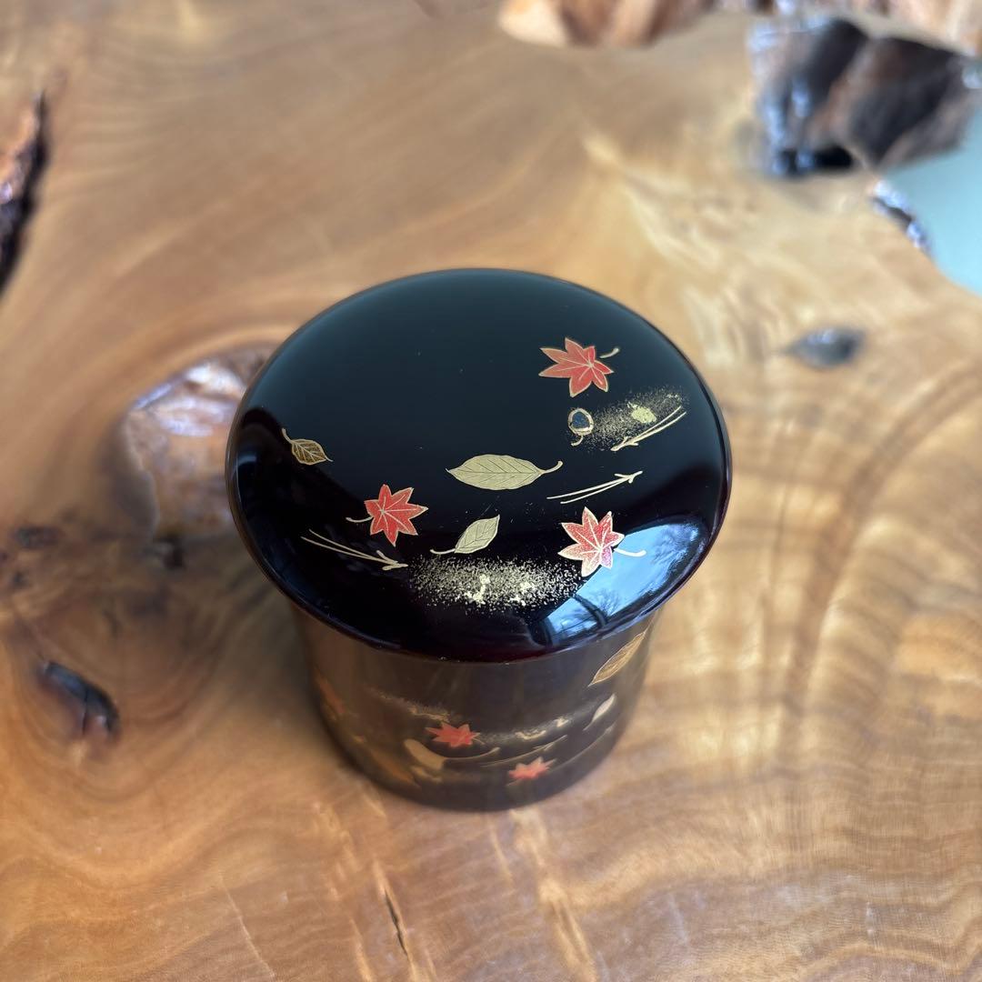 Fuki-yose Maki-e Kinrinji by Nakade Shoho — Autumn Leaves & Hidden Squirrel, Tomobako