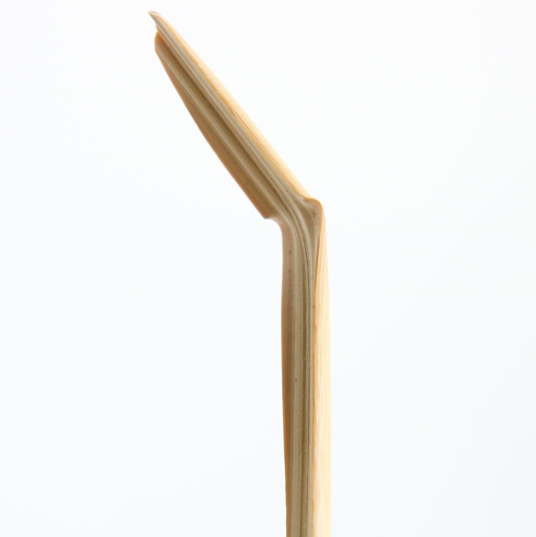 Bamboo Tea Scoop 'Seifū' (Clear Wind) — Fujii Kaidō, Daitoku-ji Sangen-in