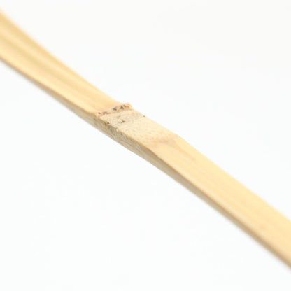 Bamboo Tea Scoop 'Seifū' (Clear Wind) — Fujii Kaidō, Daitoku-ji Sangen-in