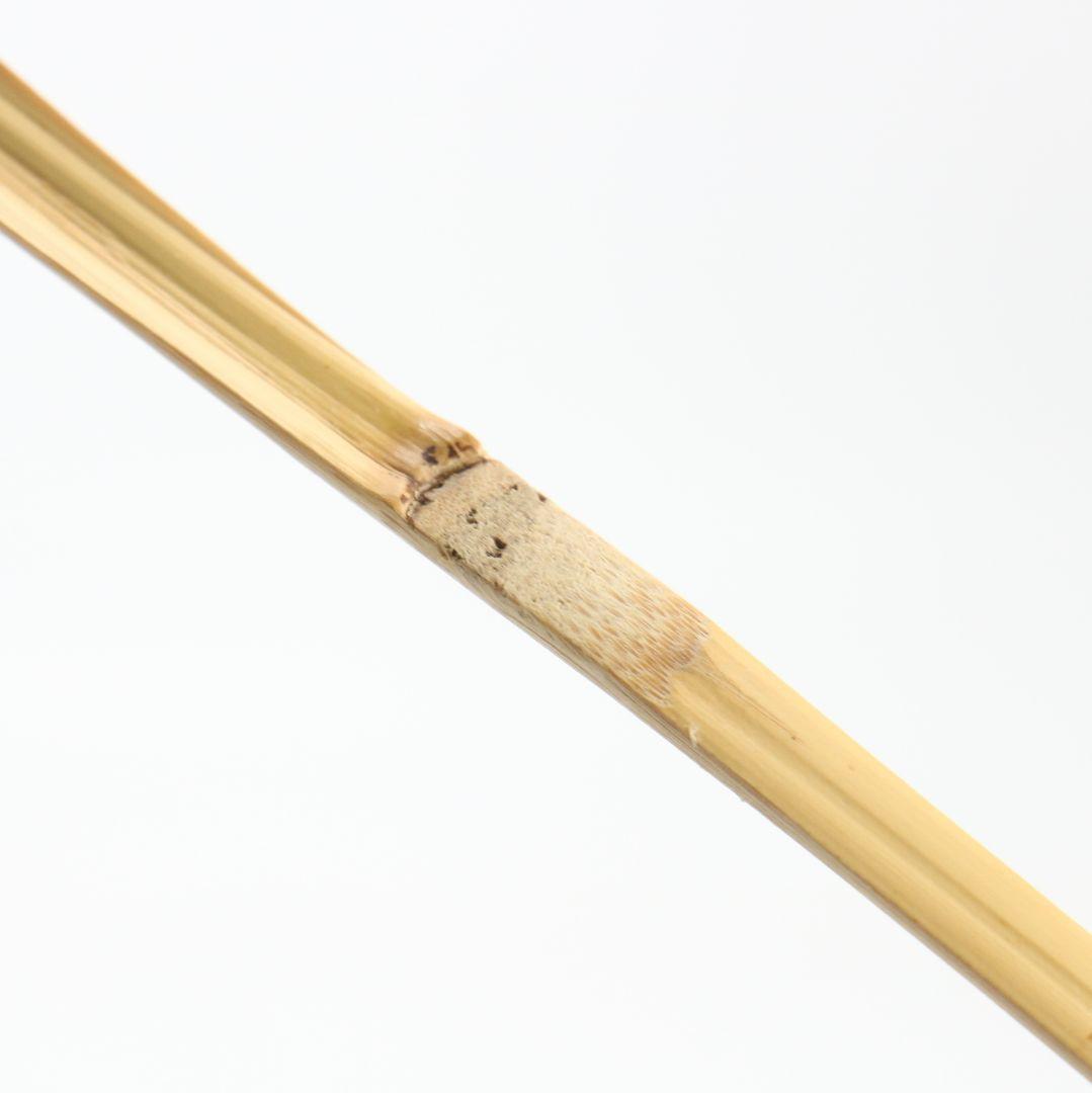 Bamboo Tea Scoop 'Seifū' (Clear Wind) — Fujii Kaidō, Daitoku-ji Sangen-in