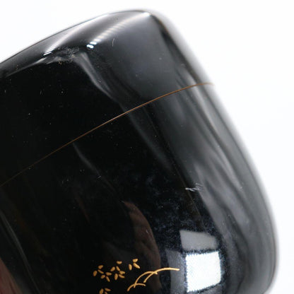 Saijo Issai Inakaya Maki-e Raden Naka-Natsume | Countryside Landscape Lacquer Tea Caddy | Tomobako