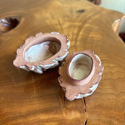 Notomi Touun Hagi Ware Pine Cone Kogo — Sculptural Matsukasa Form, Tomobako | 納富鳥雲造 萩焼松笠香合