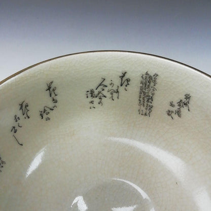 Kutani Ware Tea Bowl by Hakusui - Camellia Overglaze Enamel Chawan with Crackle Glaze