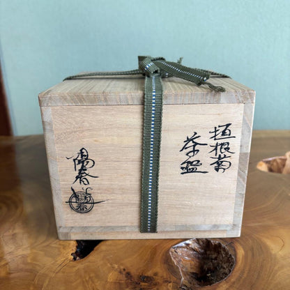 Miyake Yoshun Kakine-Kiku Iro-e Chawan — Fence and Chrysanthemum Polychrome Kyo-yaki Tea Bowl