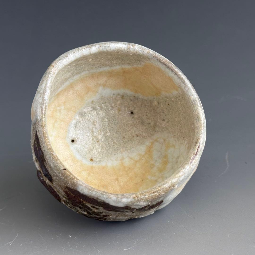 Iron-Painted Turtle Sake Cup by Shimizu Yasutaka - Tetsue Guinomi