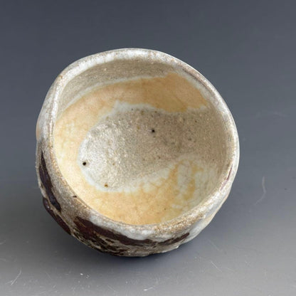 Iron-Painted Turtle Sake Cup by Shimizu Yasutaka - Tetsue Guinomi