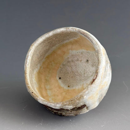 Iron-Painted Turtle Sake Cup by Shimizu Yasutaka - Tetsue Guinomi