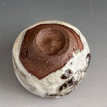 Iron-Painted Turtle Sake Cup by Shimizu Yasutaka - Tetsue Guinomi
