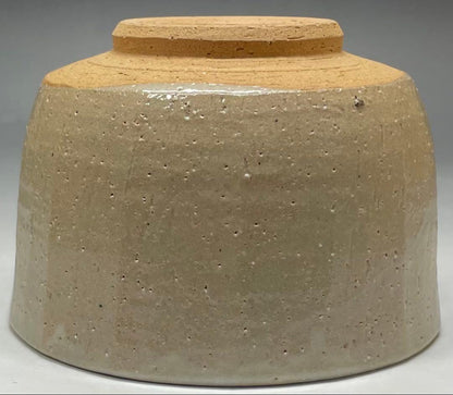Shimizu Hiroshi Rakuzan Kiln Iro-e Camellia Tea Bowl Matsue Chawan