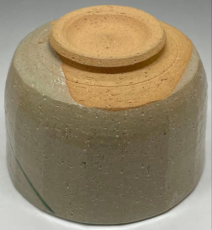 Shimizu Hiroshi Rakuzan Kiln Iro-e Camellia Tea Bowl Matsue Chawan