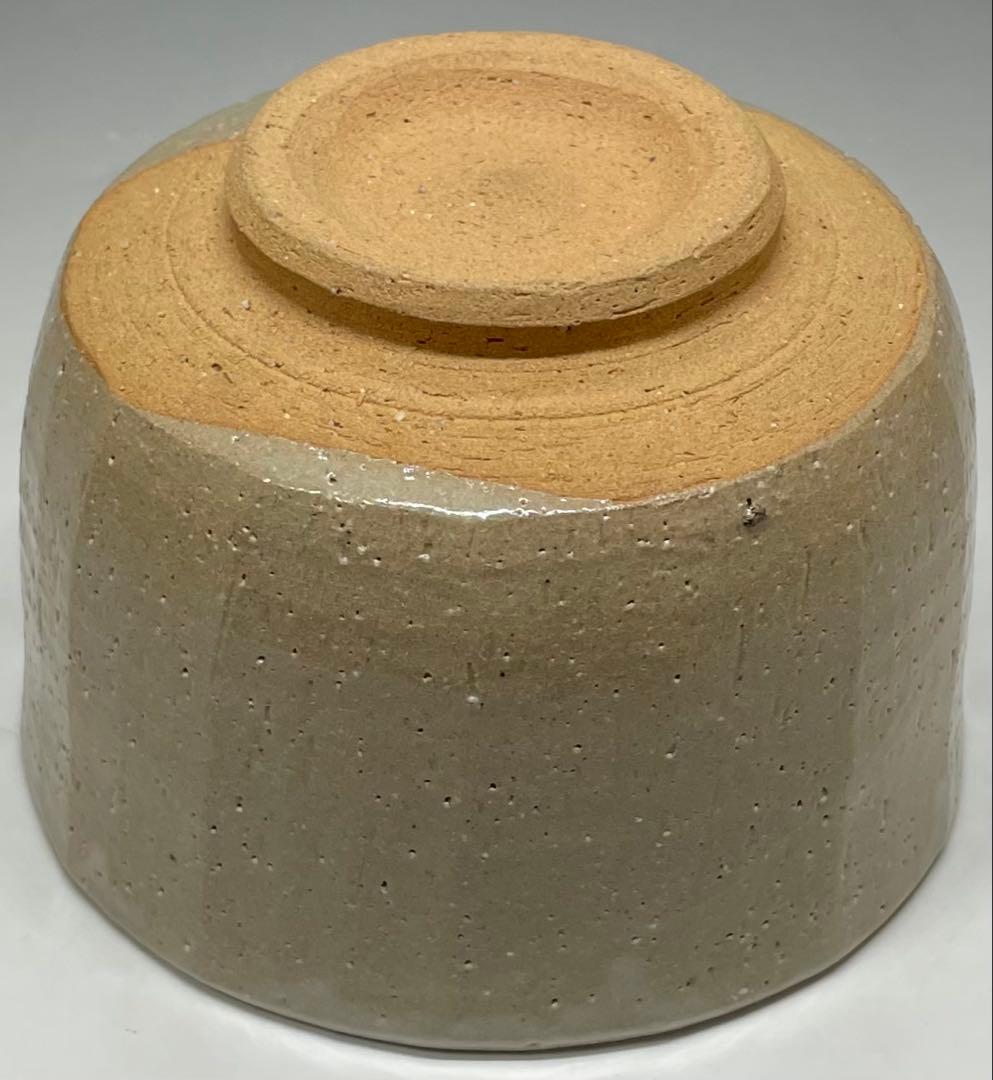 Shimizu Hiroshi Rakuzan Kiln Iro-e Camellia Tea Bowl Matsue Chawan