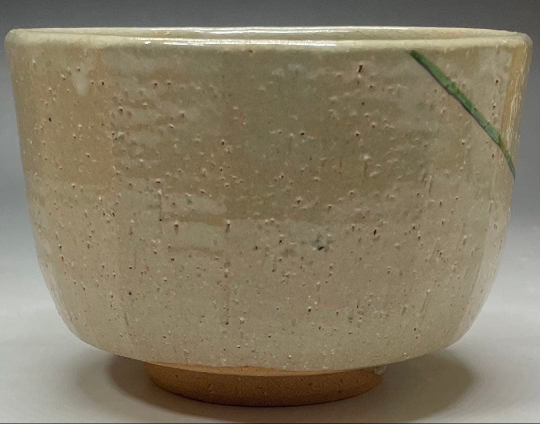 Shimizu Hiroshi Rakuzan Kiln Iro-e Camellia Tea Bowl Matsue Chawan